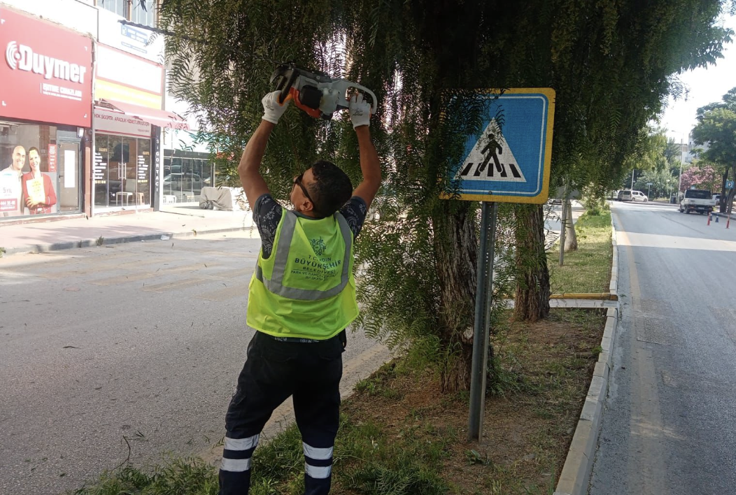 Ekran Resmi 2025 06 11 12.00.38
