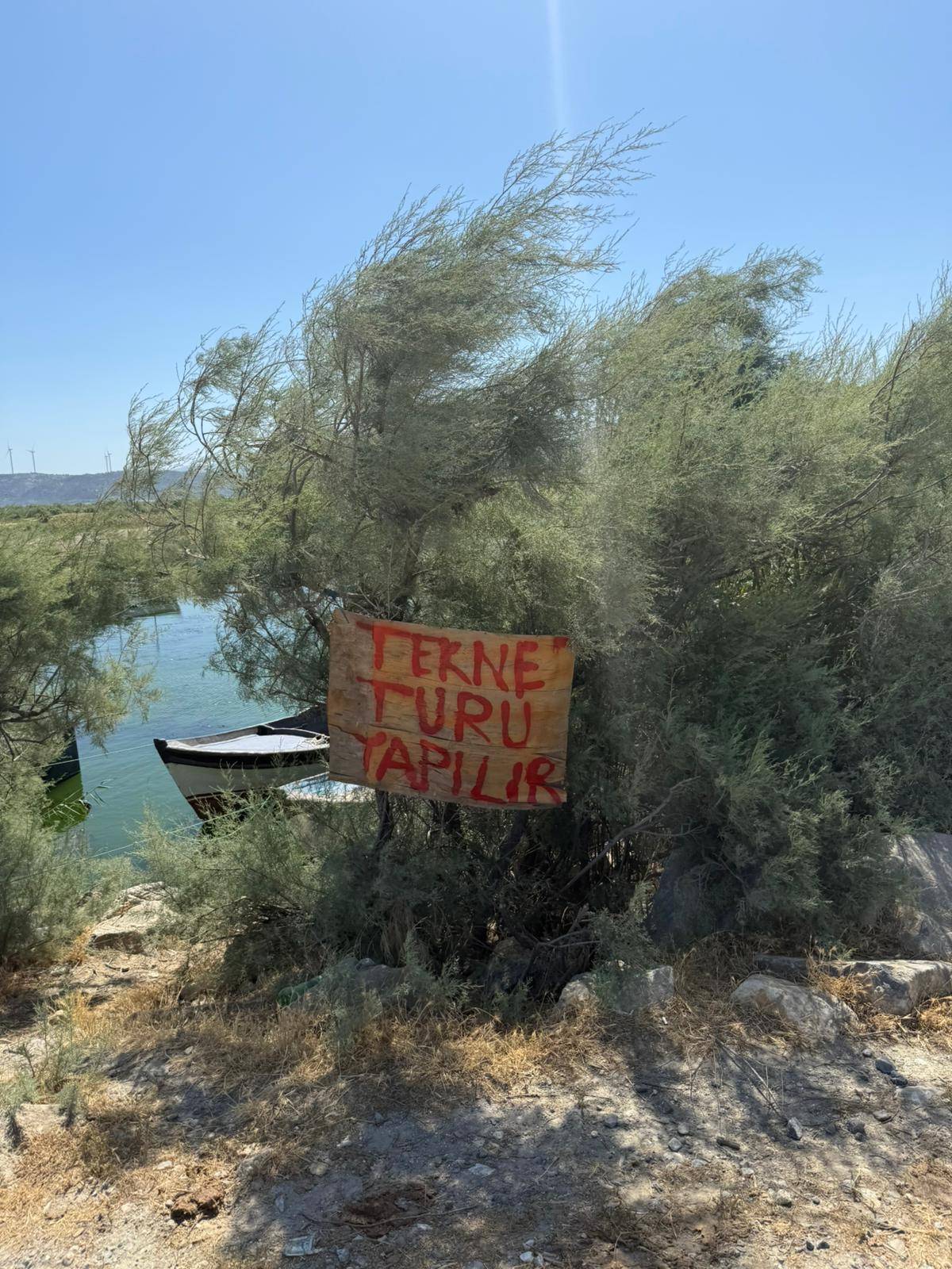 Tekne Turu Söke