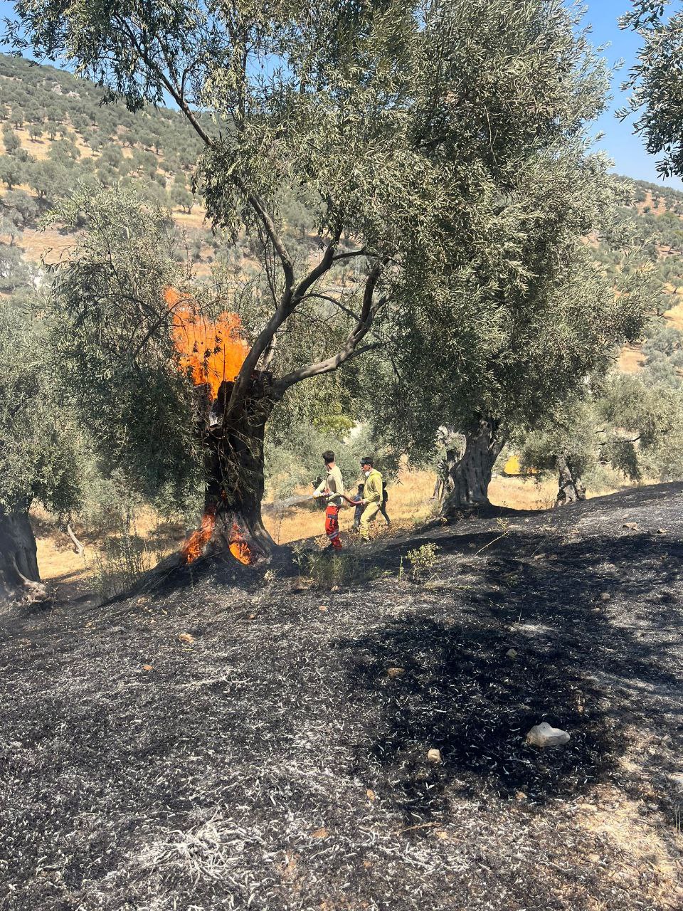 Fotoğraf (10)-11