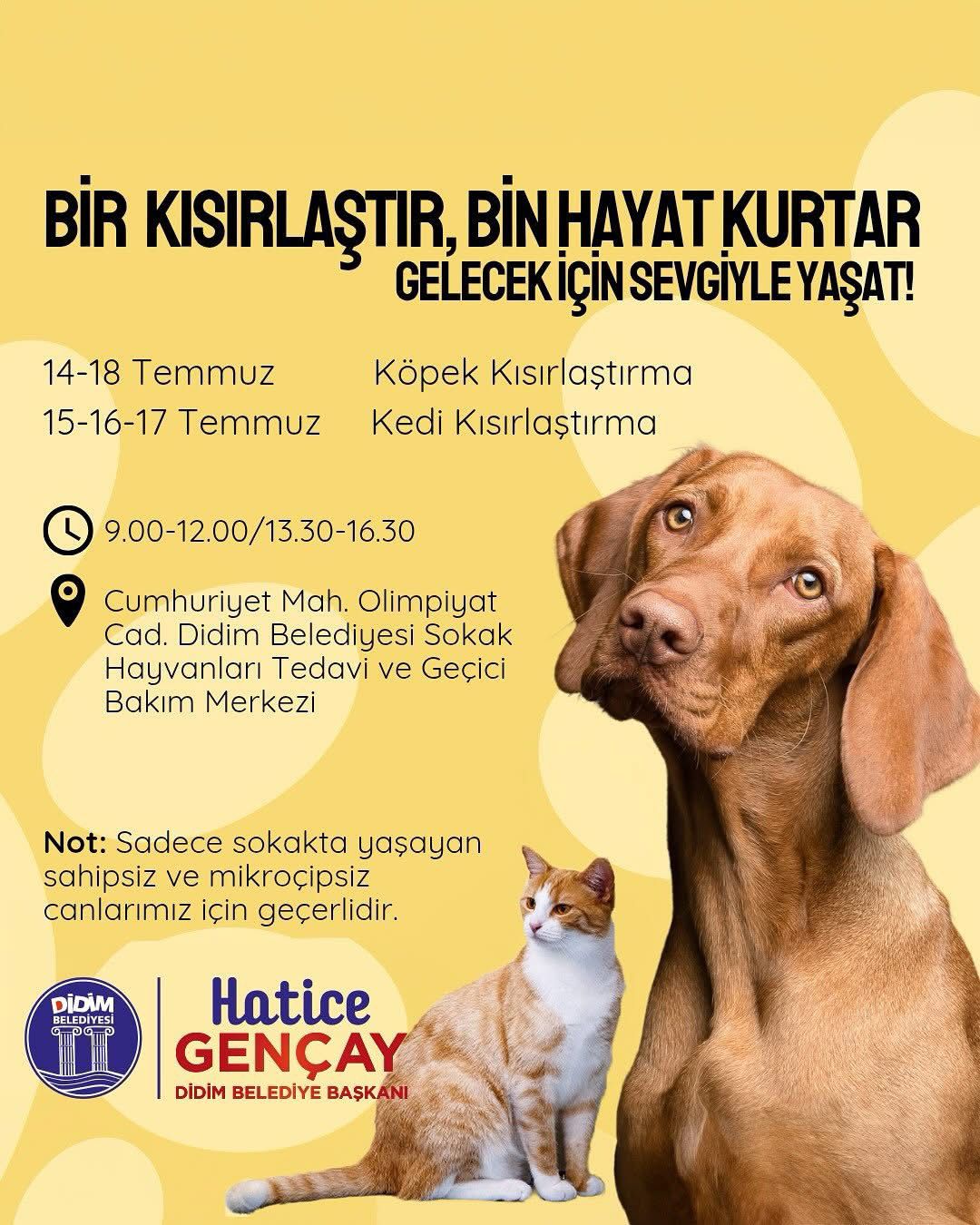 P H O T O 2025 07 16 15 43 44