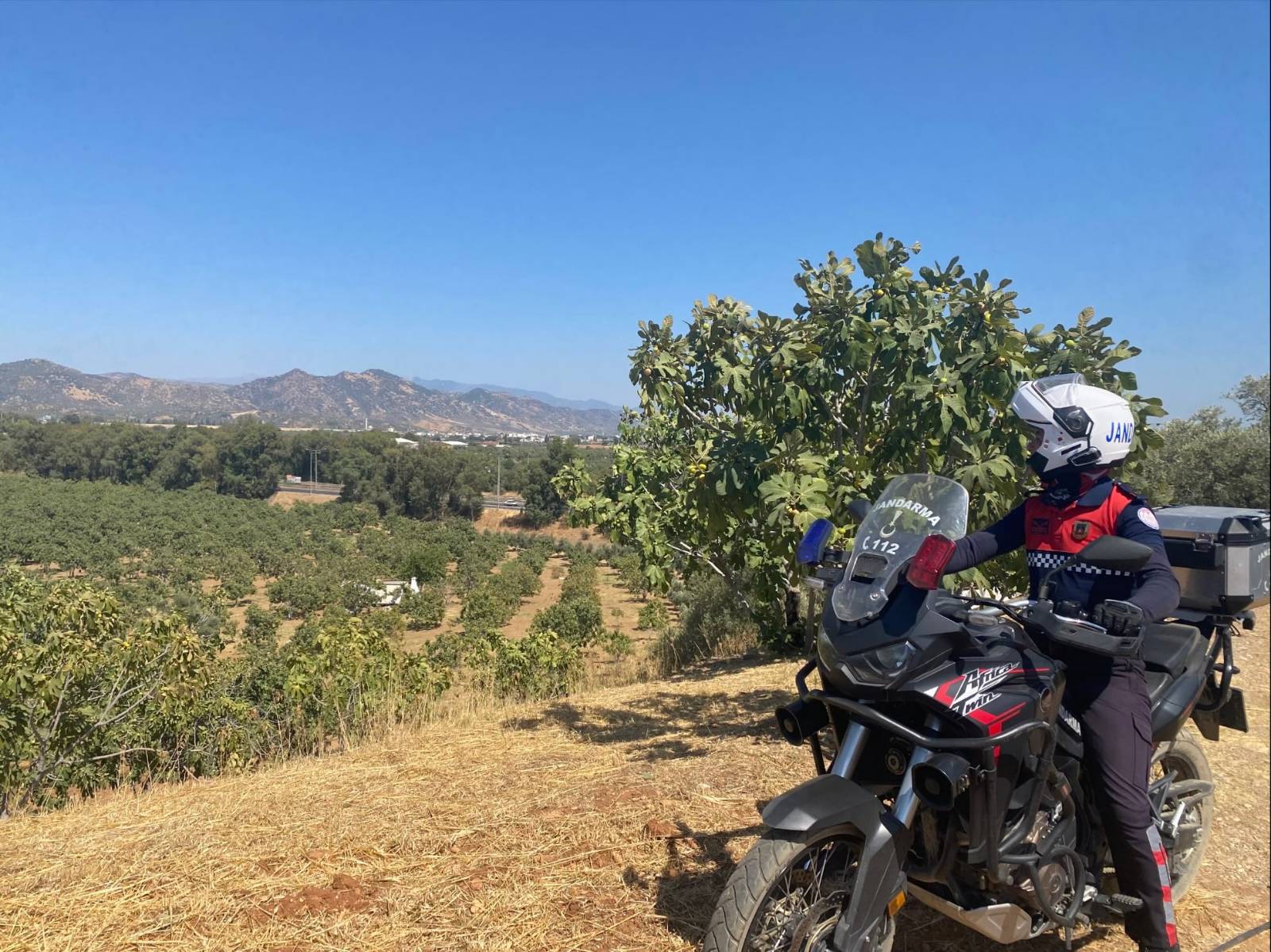 Germencik İncir Devriyesi (3)