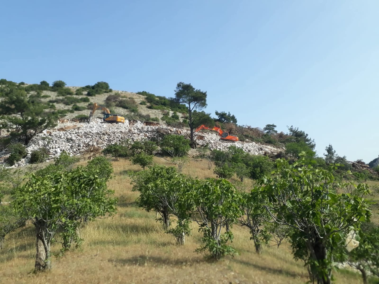 P H O T O 2025 08 02 23 52 17