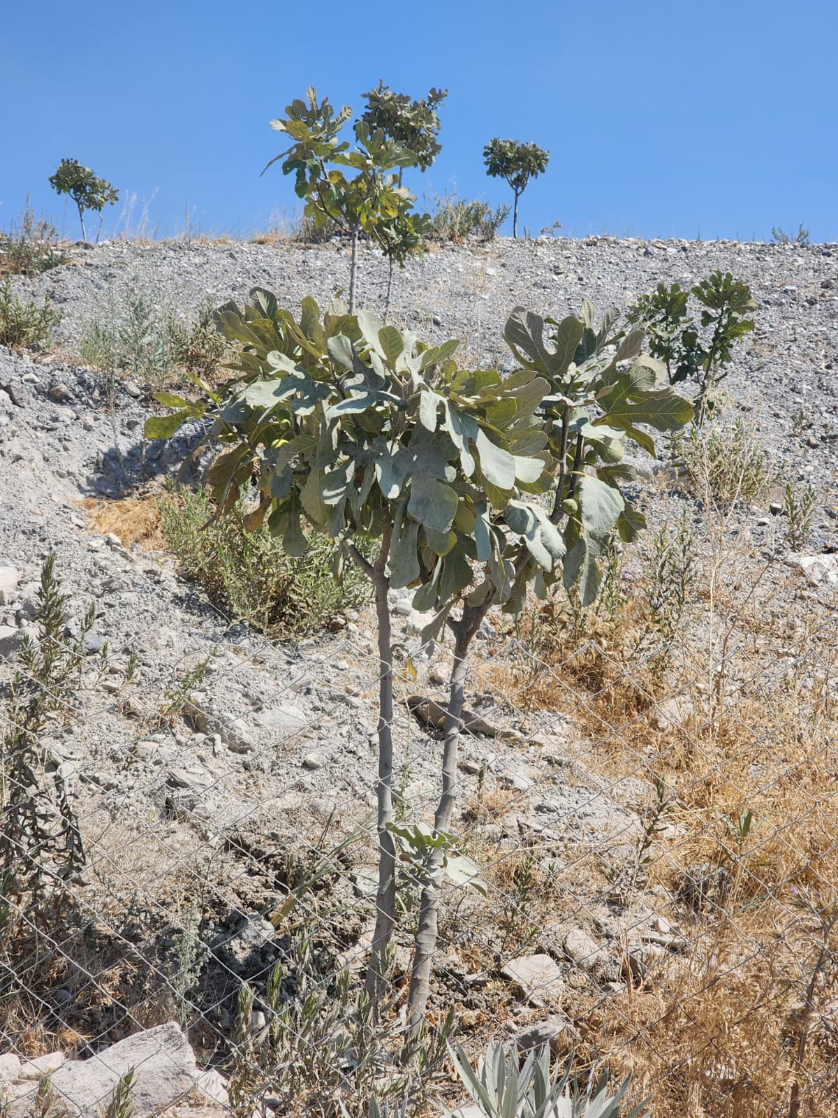 P H O T O 2025 08 02 23 53 13