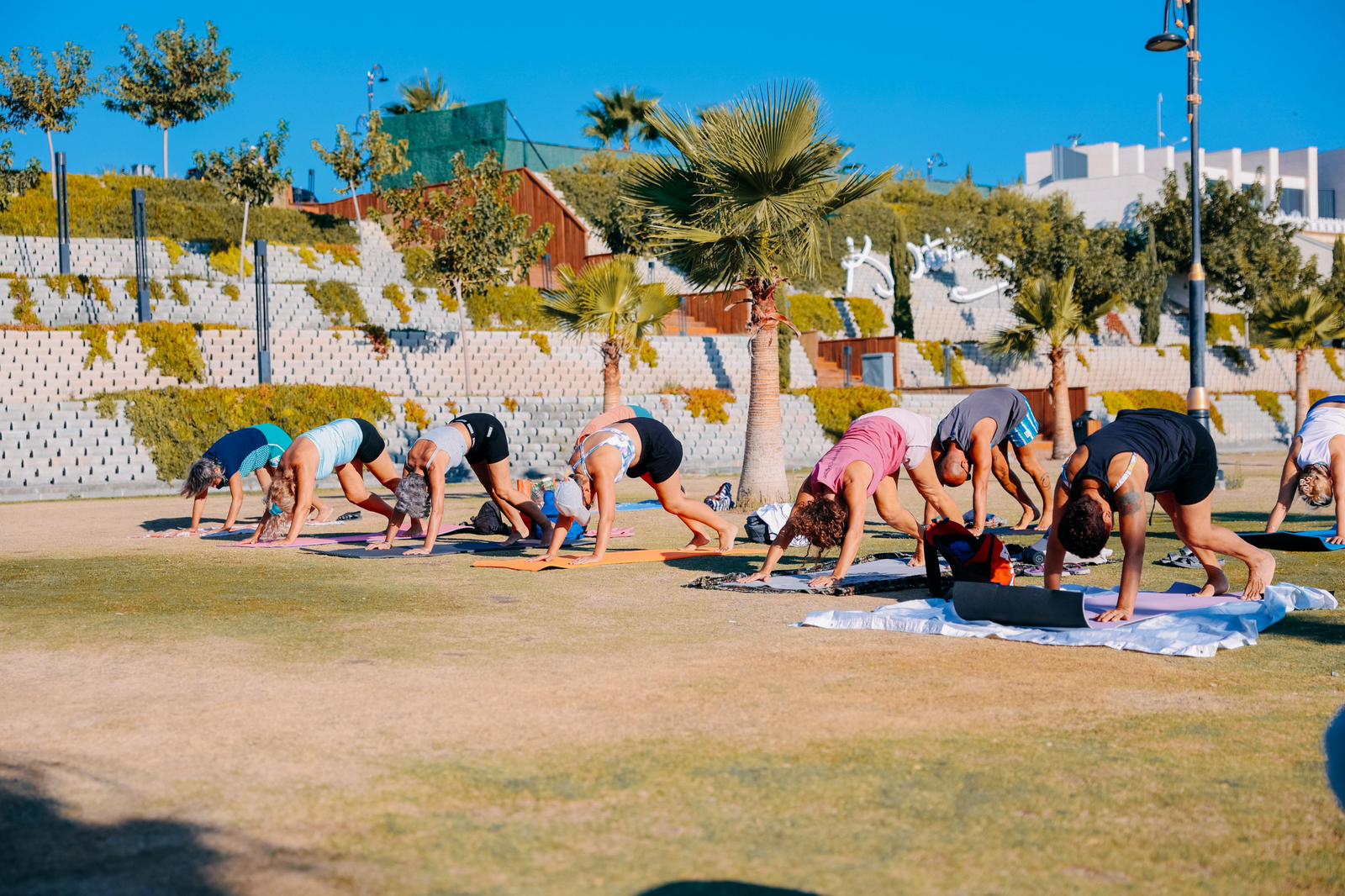 P H O T O 2025 08 22 14 31 15