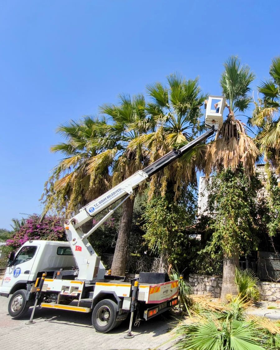 Whatsapp Image 2025 09 15 At 17.29.32 2