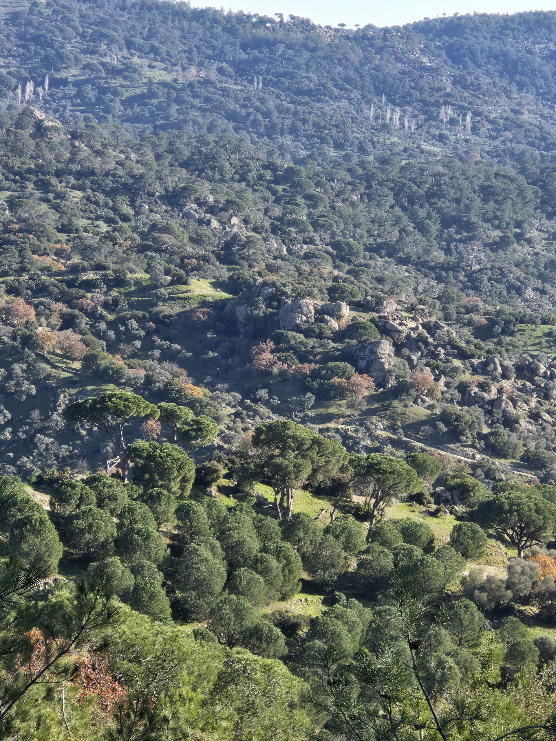 Photo 2026 01 02 11.41.33