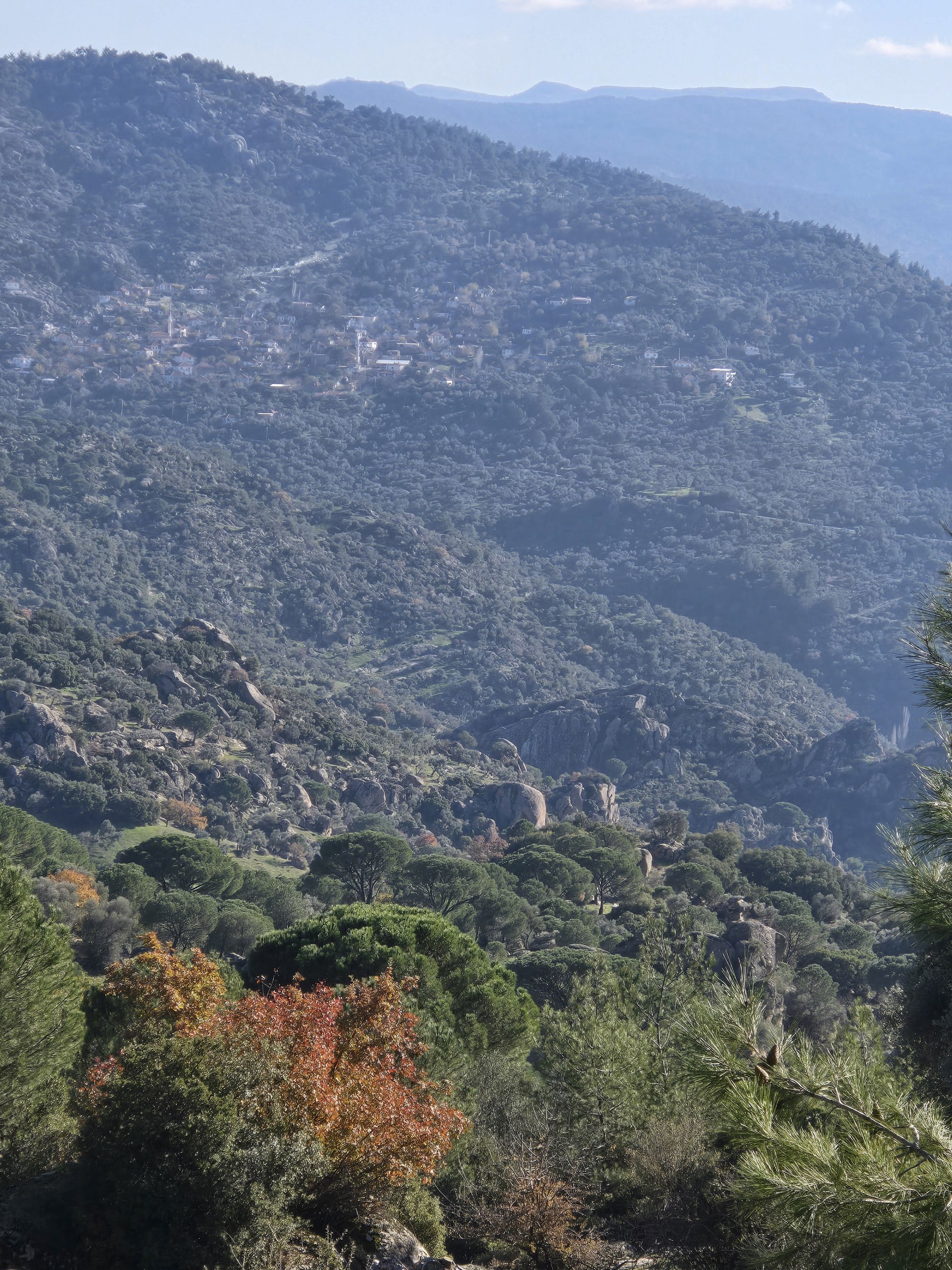 Photo 2026 01 02 11.41.37