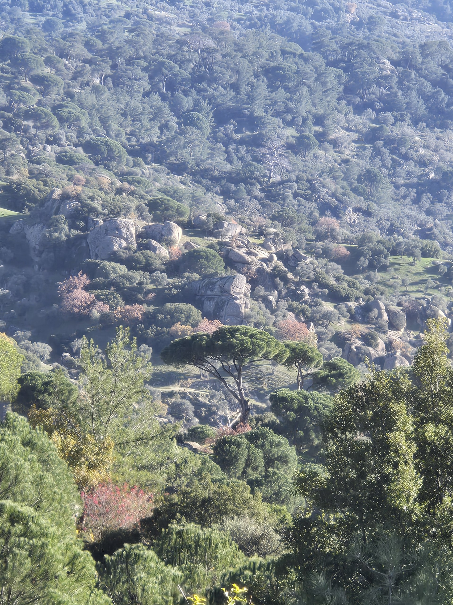 Photo 2026 01 02 11.41.46