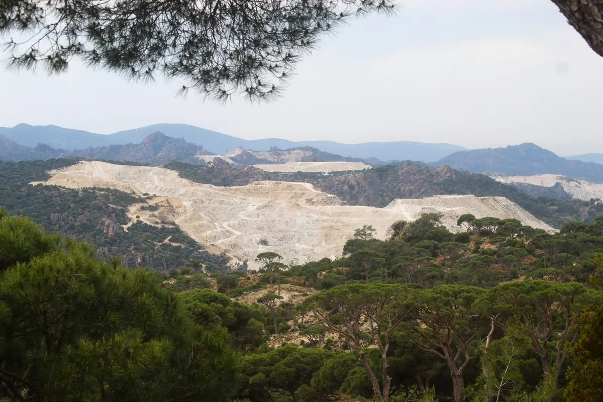 651735288 1378098311023939 7246442214522722506 N.jpg