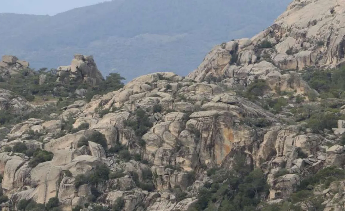 Ekran Goruntusu 2026 02 06 202151.Png