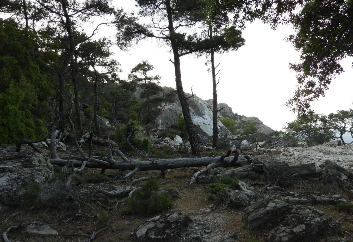 Ekran Goruntusu 2026 02 06 202448.Png