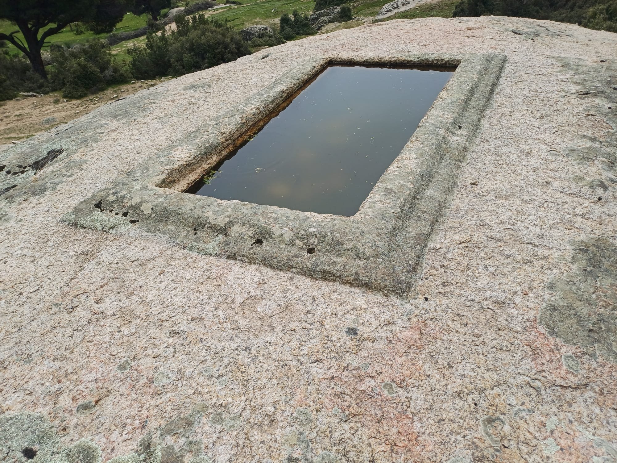 H G H Vle8Bc A Ab F29