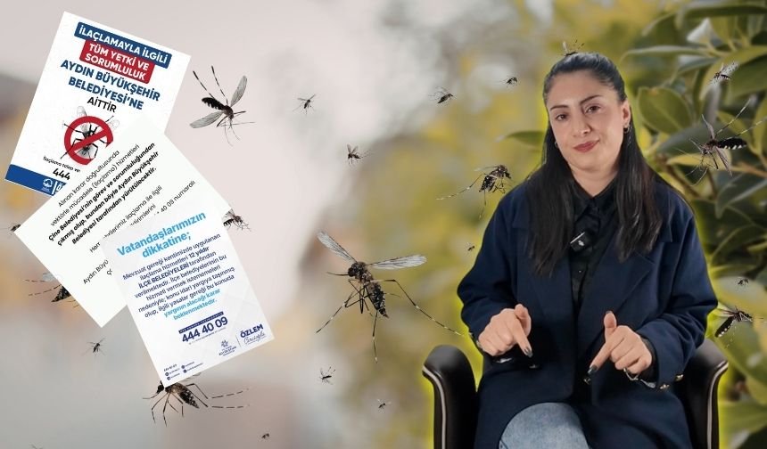 Aydın’da sivrisinek savaşları başladı!