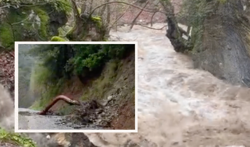 Aydın Paşa Yaylası'nda dereler taştı ağaçlar devrildi