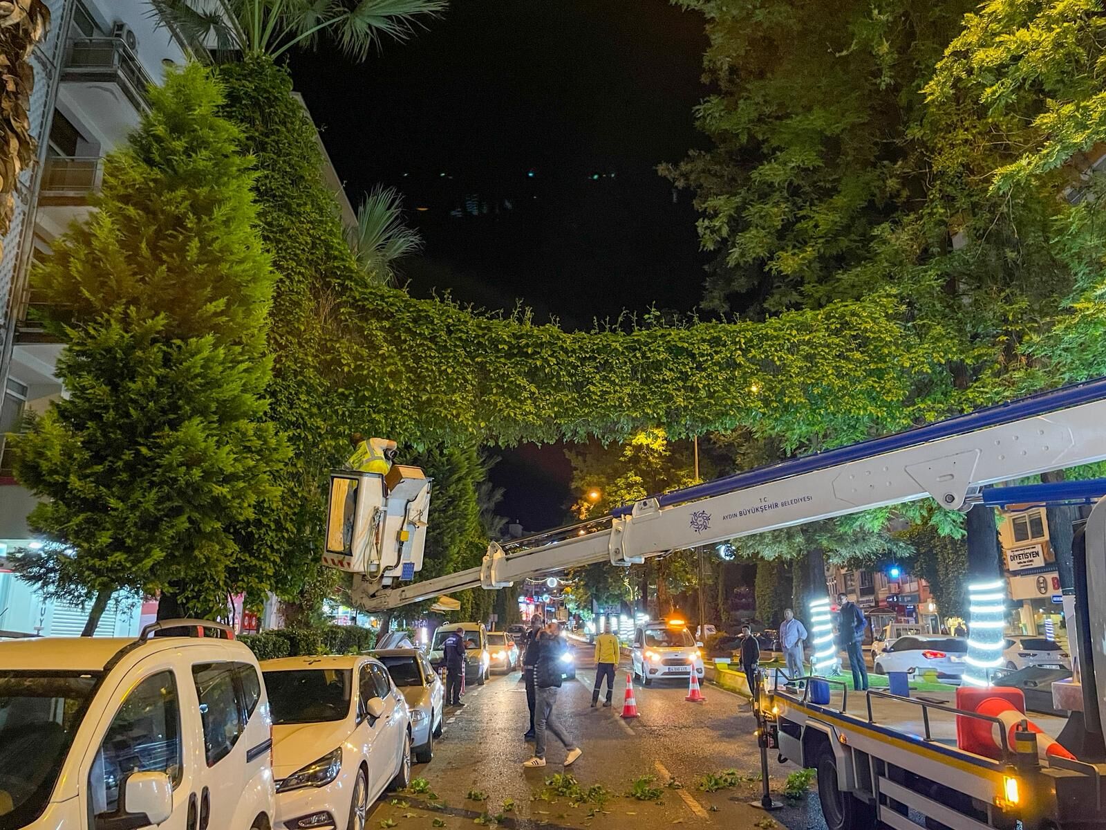Fotoğraf (4) (8)