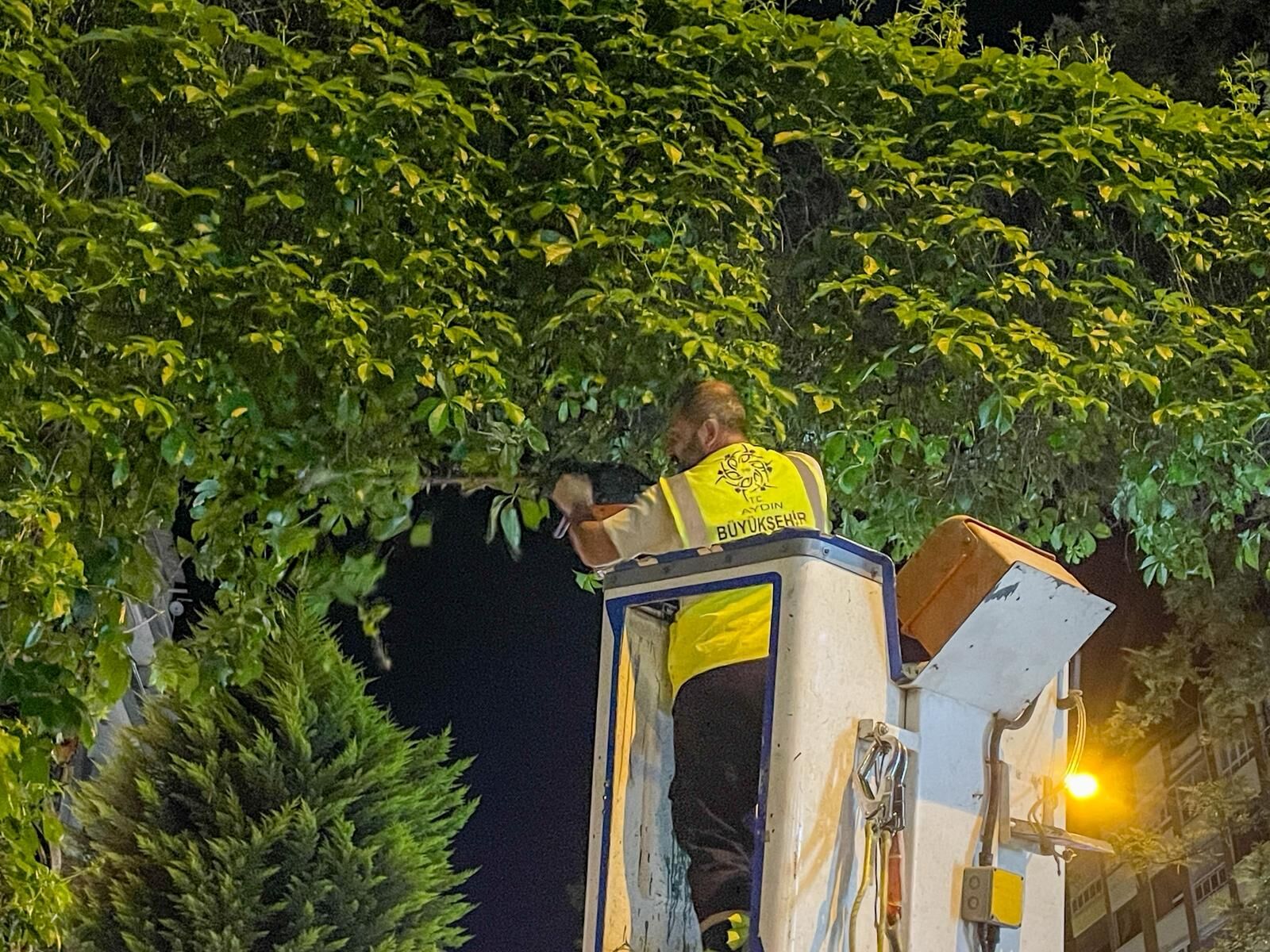 Fotoğraf (7) (7)