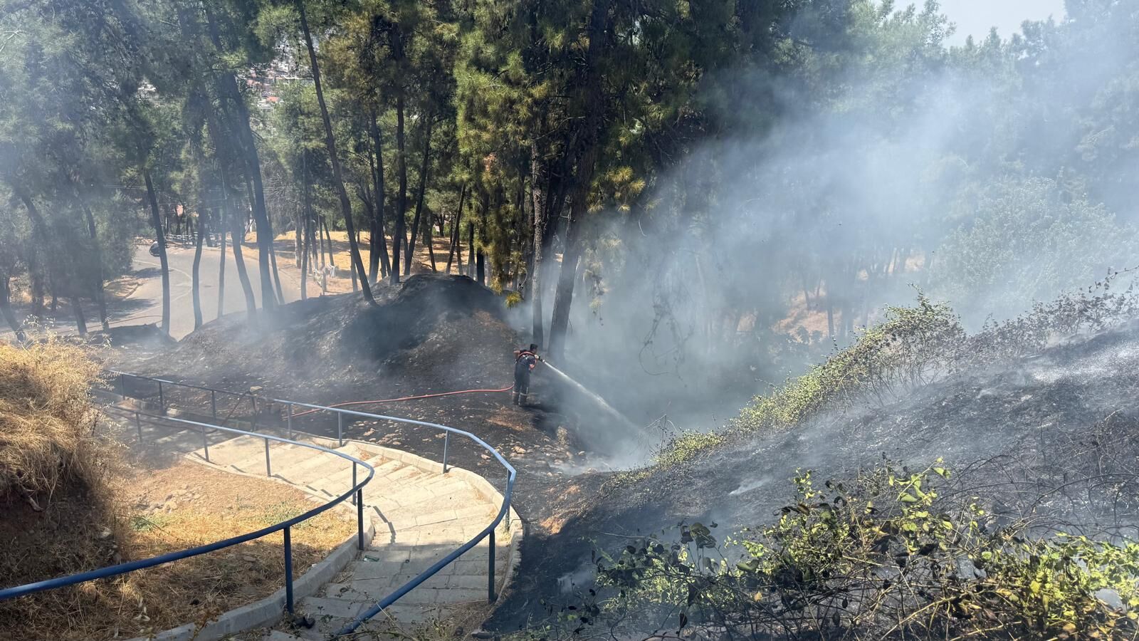 Fotoğraf (2) (40)
