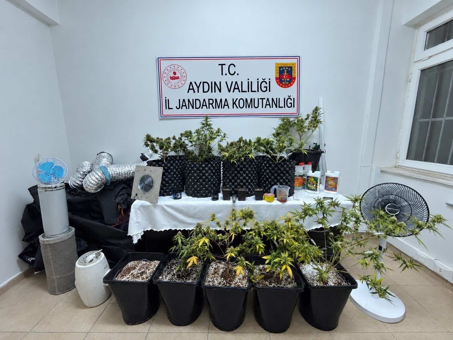 Kuşadası’nda evden skunk üretimi çıktı!