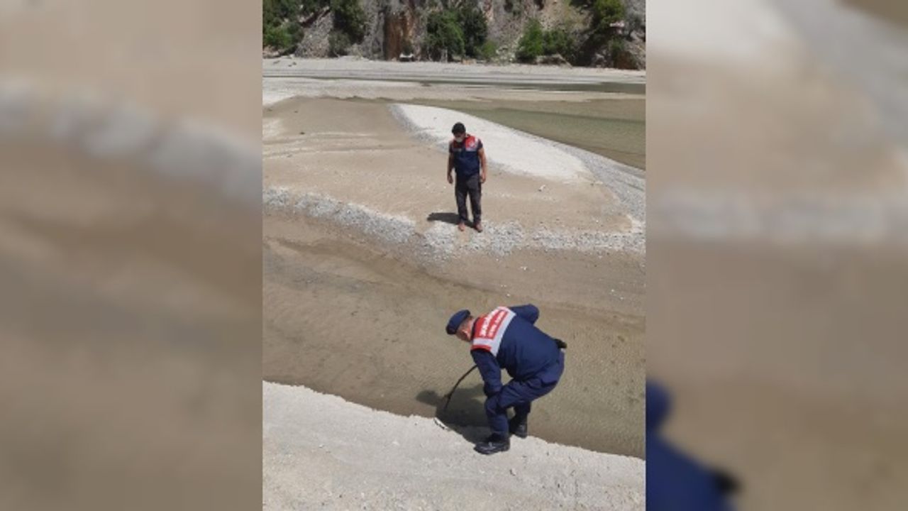 SALAM DERESİ'NDEKİ BALIK ÖLÜMLERİ İÇİN, ADLİ VE İDARİ SORUŞTURMA BAŞLATILDI