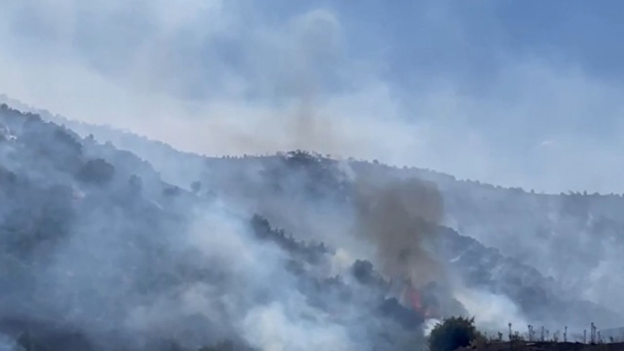 İzmir’de makilik alandaki yangına havadan ve karadan müdahale