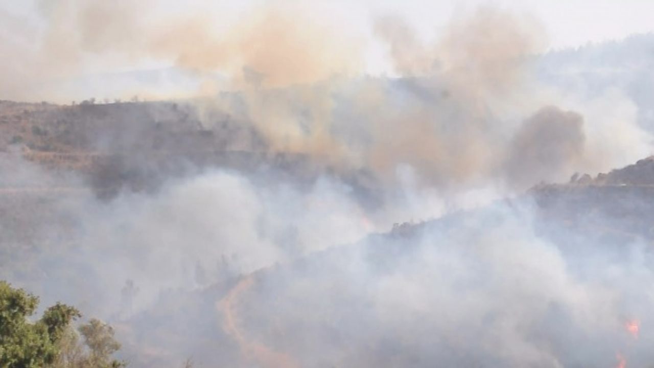 BODRUM'DAKİ ORMAN YANGINI KONTROL ALTINA ALINDI