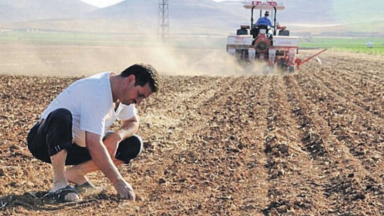 Türkiye'de çiftçi sayısı 500 binin altına düştü