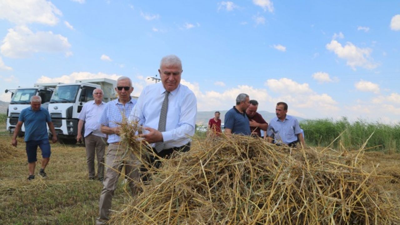 Başkan Atay’dan buğday hasadı