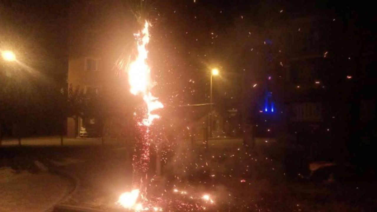 Köşk'te çocukların ateşle oyunu ağacı tutuşturdu