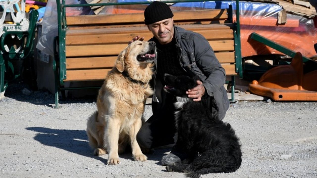 Felçli köpek ‘Karam’ı sevgi ve şefkat iyileştirdi