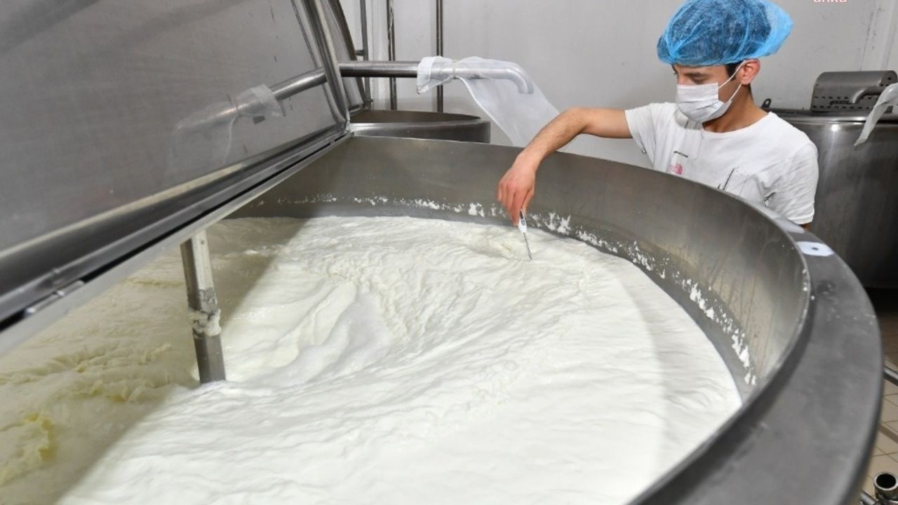 TÜİK: İçme sütü üretimi ocak ayında yüzde 8,1 arttı