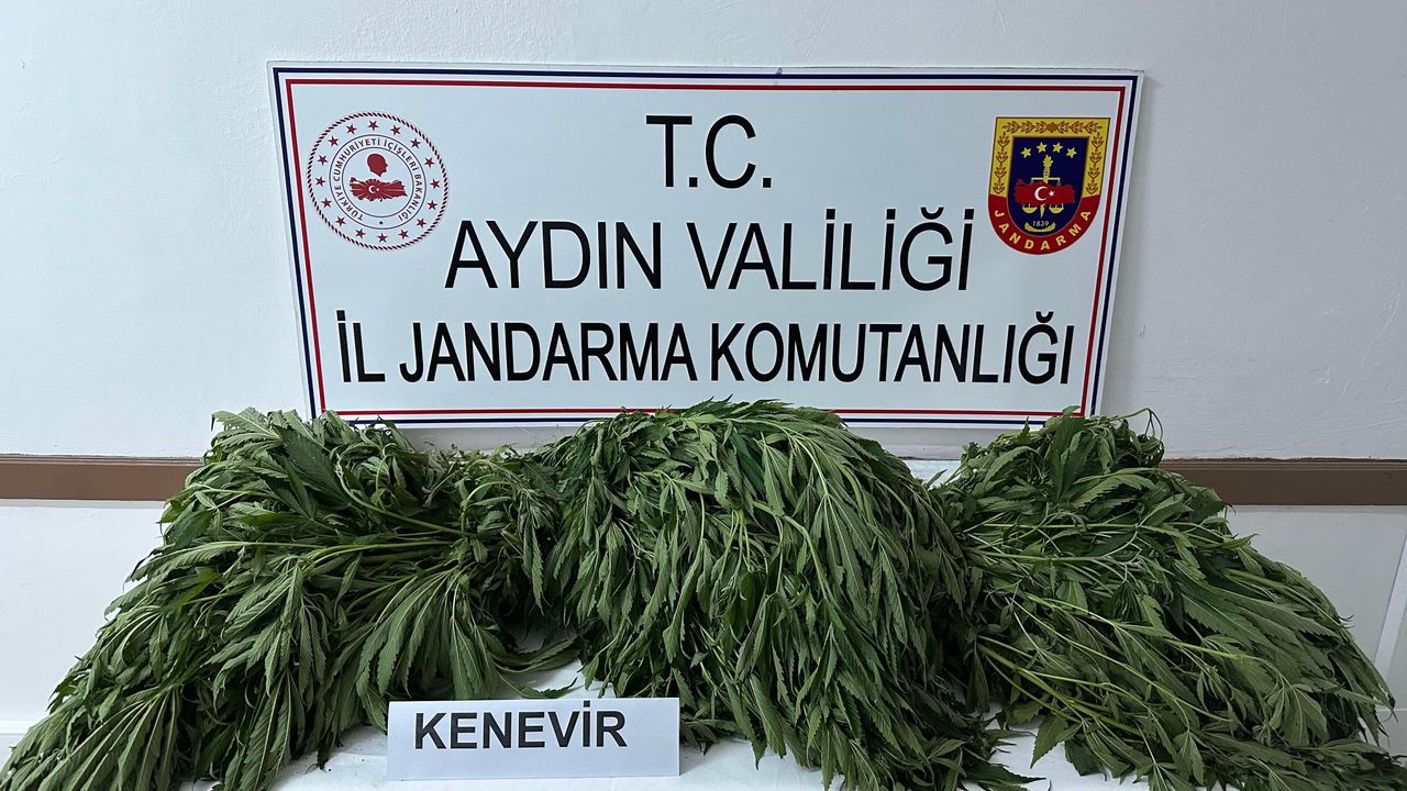 Aydın'da uyuşturucudan 2 şahıs yakalandı