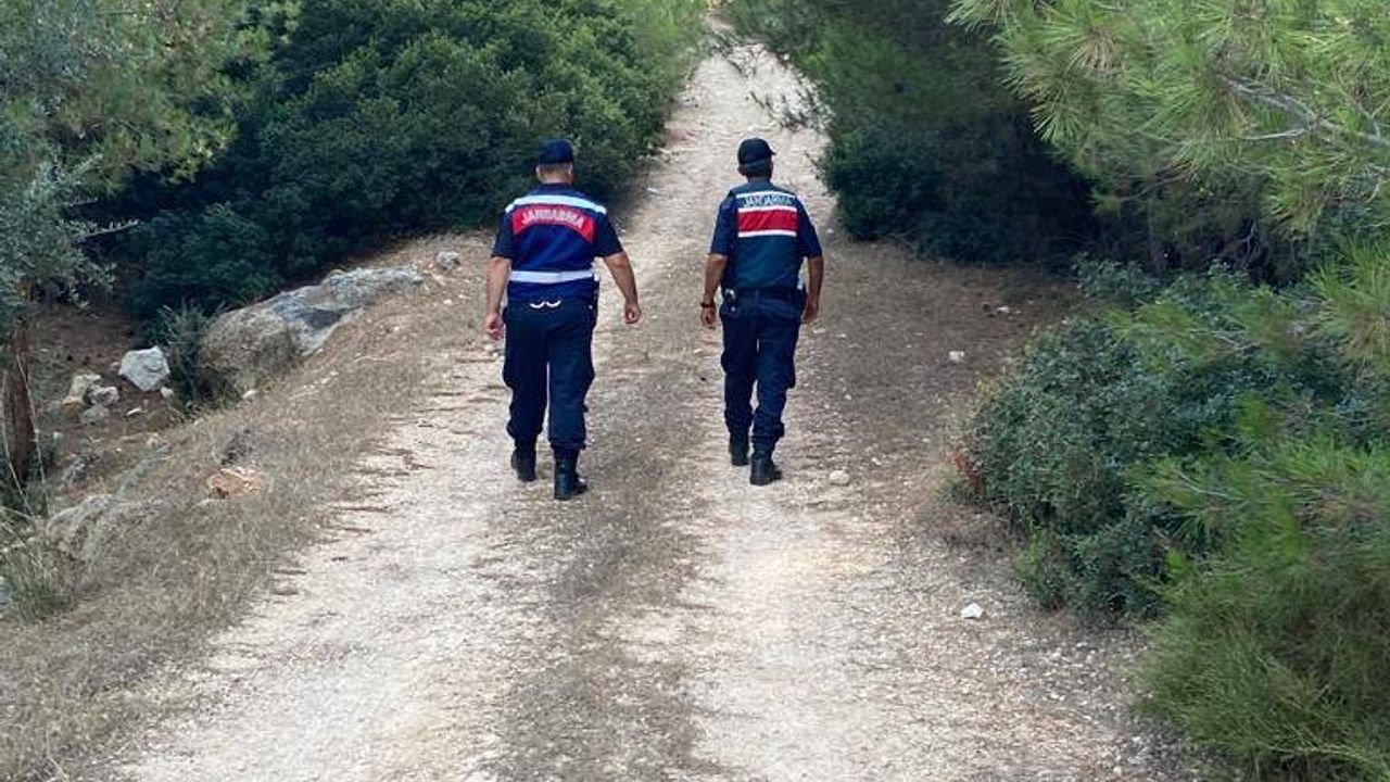 Aydın'da jandarma ekipleri ormanda devriye atmayı sürdürüyor