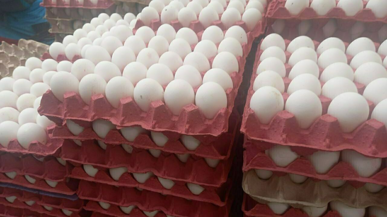 Yumurta üretimi Mayıs'ta azaldı