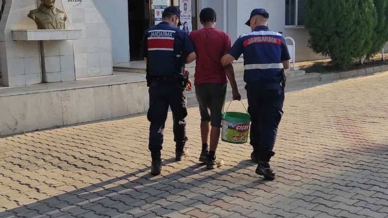 Aydın'da incir hırsızı suçüstü yakalandı