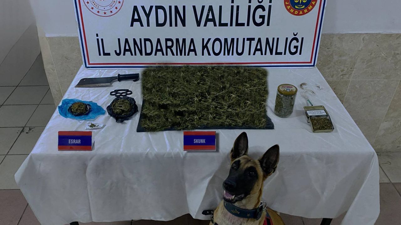 Aydın'da uyuşturucu ticareti yapan 65 şahıs yakalandı