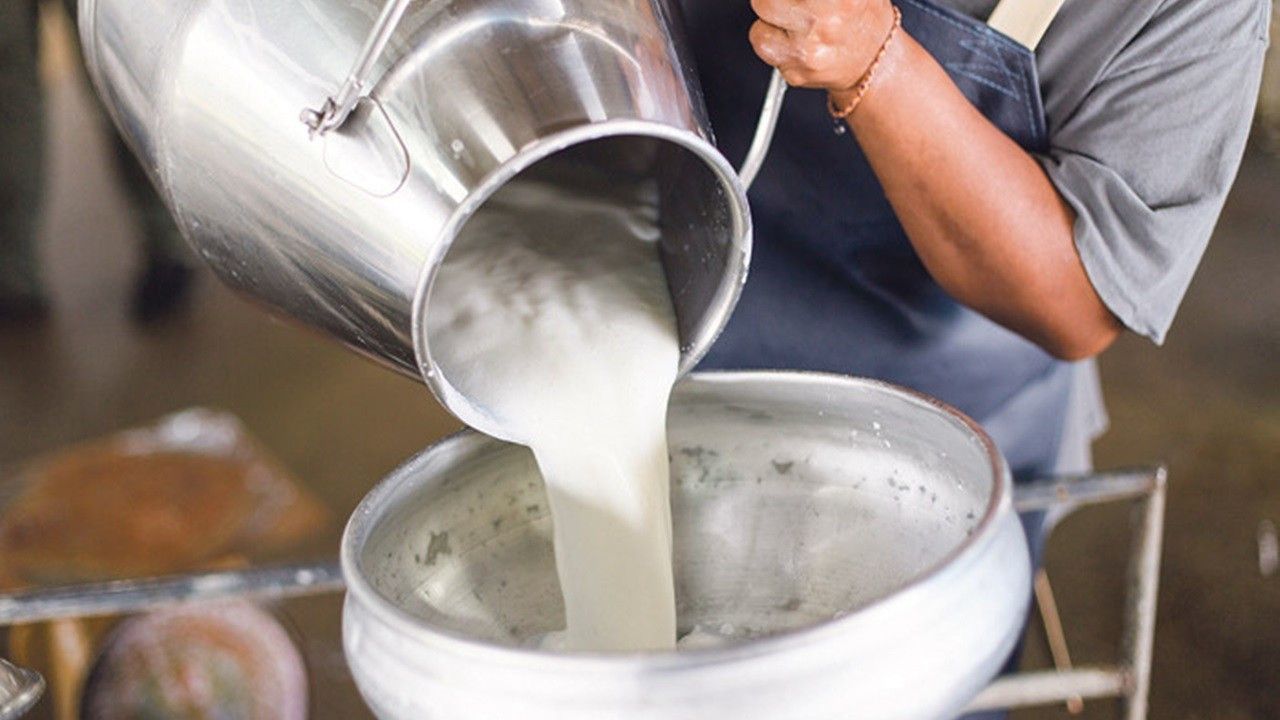 Nazillili süt üreticilerinden çiğ süt fiyatlarına tepki