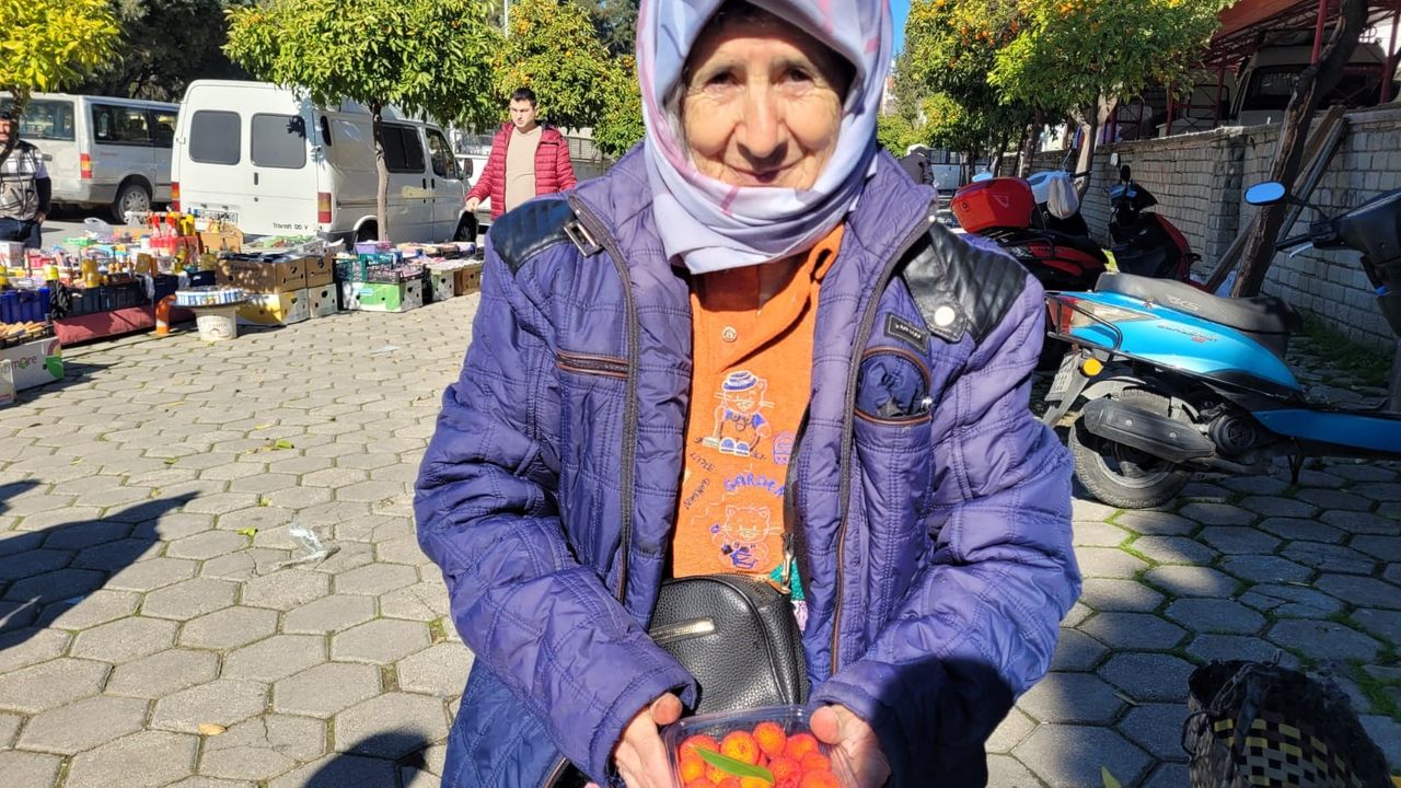 67 yaşındaki Aydınlı Semiha teyze dağ çileği satarak geçiniyor
