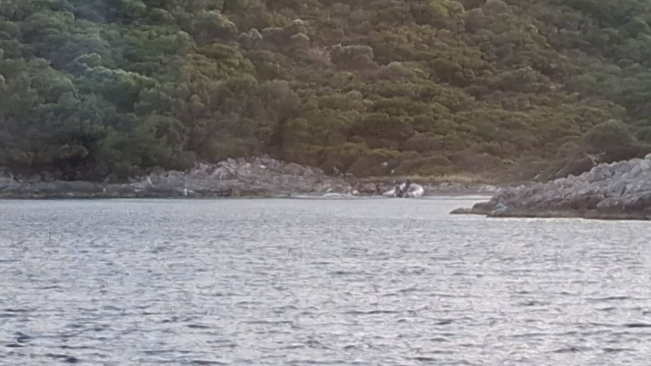 Kuşadası'nda yasaklı bölgeye zodyak botla girdiler!