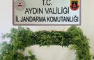 Aydın’da şüpheli şahıslar yakalandı!