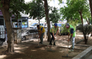 Aydın'ın park ve yeşil alanları yenileniyor