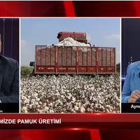 EKONOMİ
