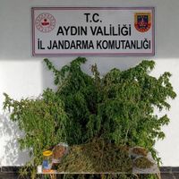 ASAYİŞ
