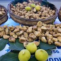 GÜNCEL