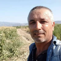 ASAYİŞ