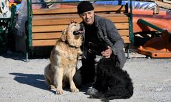 Felçli köpek ‘Karam’ı sevgi ve şefkat iyileştirdi