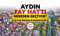 Aydın'da depremin gerçek yüzü! Hangi ilçelerden ve mahallelerden fay hattı geçiyor