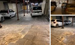 Başkan Ömer Günel milyonluk yatırama zarar verenler için düğmeye bastı! Tek tek tespit edilecekler...