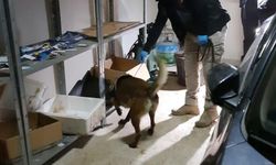 Kırmızı bültenle aranan suç örgütü lideri Ürfi Çetinkaya tutuklandı