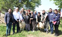 Başkan Çerçioğlu’ndan üretici kadına hibe koyun!