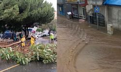 Aydın'da yağışlar hayatı felç etti! Ağaçlar arabaların üzerine devrildi yollar sele teslim oldu